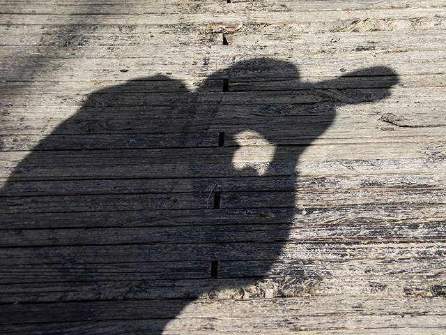 Shadow